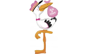 Es una niña, es un niño: ¡vienen las cigüeñas! Es una niña, es un niño: ¡vienen las cigüeñas!